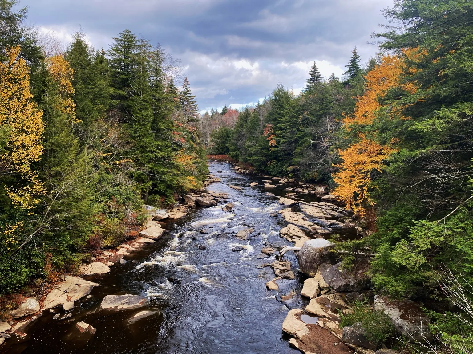 Autumn mountain stream